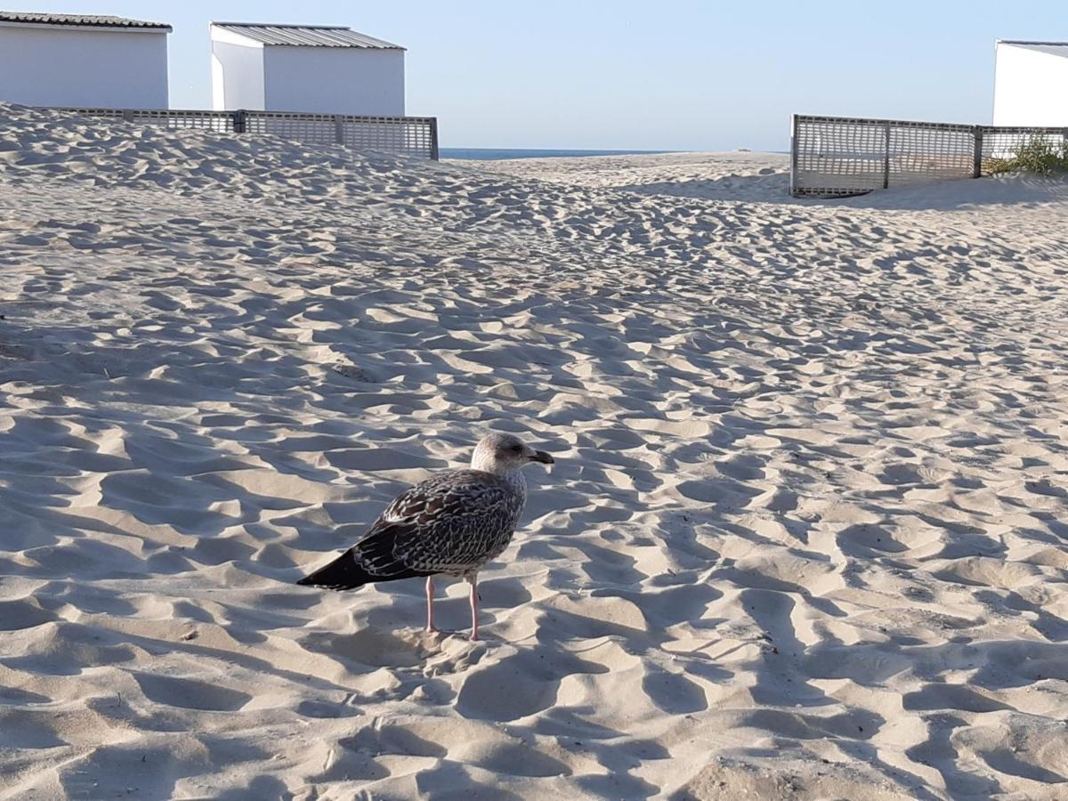 Nieuwpoort Marjolaine Prachtig Zeezicht - 4De Verdiep -Op De Dijk 5Pers Exteriér fotografie